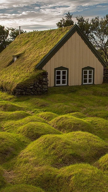 Home, nature HD phone wallpaper