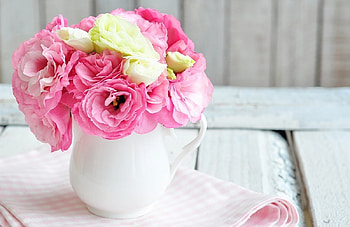 soft, vase, pink, flowers HD wallpaper