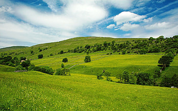 Scenery nature 70092, Grassland green , 70092 HD wallpaper