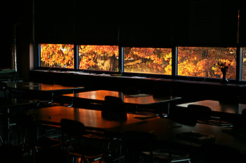 Autumn Through A Window II, through, graphy, peaceful, tranquil, scenery, 3d, abstract, seasonal, autumn, golden, window, room, fall, classroom, pretty, nature, empty HD wallpaper