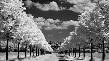 Black and white, House, Trees, Road, Clouds, Sky HD wallpaper