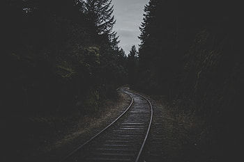 Trees, Twilight, Dark, Dusk, Railway, Rails HD wallpaper