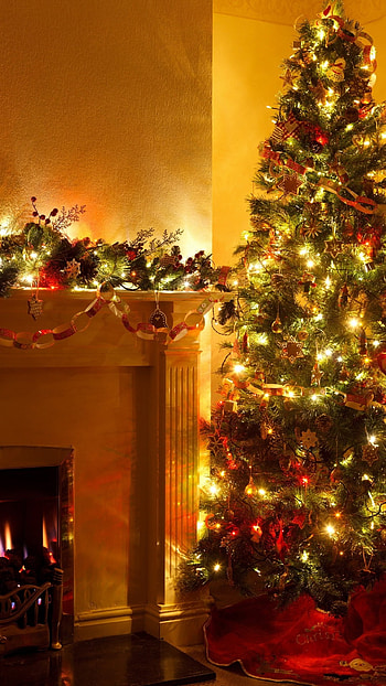 Christmas, Tree Lighting HD phone wallpaper