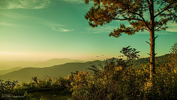que Sunset, sky, hills, clouds, landscape, colors, trees HD wallpaper