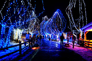 Christmas, , Holiday, Christmas Lights HD wallpaper