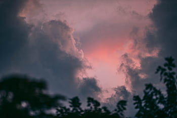 Captivating twilight sky with dark clouds and silhouetted foliage, perfect for backgrounds. HD wallpaper