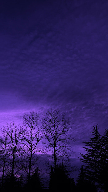 Purple Aesthetic, Nature Aesthetic HD phone wallpaper
