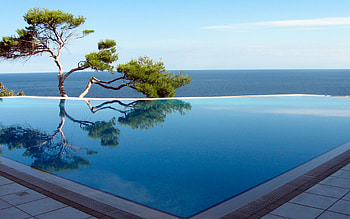 tree by the pool, graphy, pool, nature, ocean, tree HD wallpaper