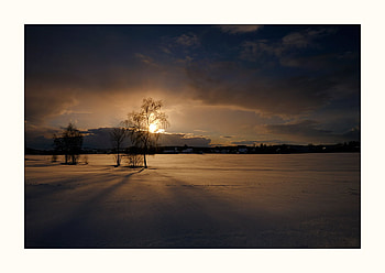 After the Snowstorm, winter, sun, snow, tree HD wallpaper