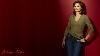 Stana Katic, sexy, drama, beautiful, film, actress, heroes, tv series, castle, crime HD wallpaper