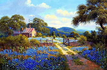 blue fields, natur, blue, country, flower HD wallpaper