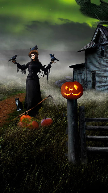 Witch, halloween, cat, night, birds, pumpkin HD phone wallpaper