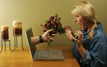 universal appreciation, how, suprise, where, roses HD wallpaper