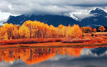 Autumn comes to the forest, nature, sky, forest, tree, mountain, lake, cloud, nice, pretty, autumn HD wallpaper