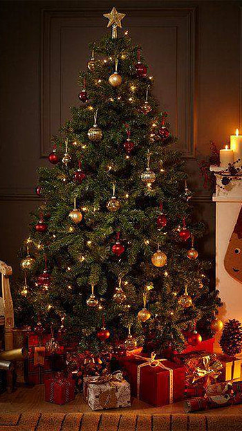 Christmas Tree, X max HD phone wallpaper
