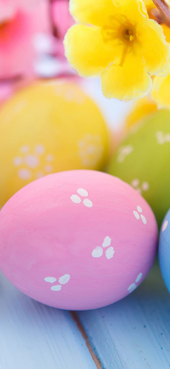Easter eggs and blossoms, XS Max , Breathtaking beauty, Visual splendor HD phone wallpaper