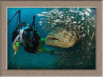 Fishing, blue, sea, fish, water HD wallpaper