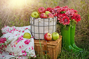 Picnic , Backgrounds HD wallpaper