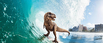 Surfing t-rex, High definition , display, Playful design HD wallpaper