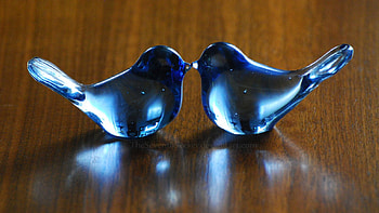 blue birdies, deco, glass, bird, art HD wallpaper