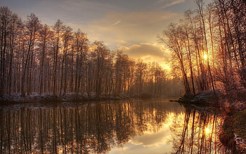 Landscape, Nature, Rivers, Trees HD wallpaper