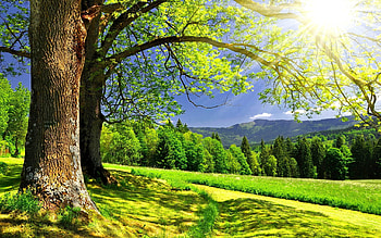 Landscape, Nature HD wallpaper