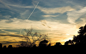 Nature, Trees, Sky, Twilight, Silhouettes, Dusk, Evening, Plane, Airplane, Traces HD wallpaper