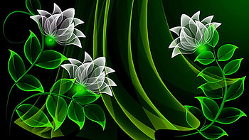 Green White Creative Graphic Digital Art Flowers Neon Design Creative HD wallpaper
