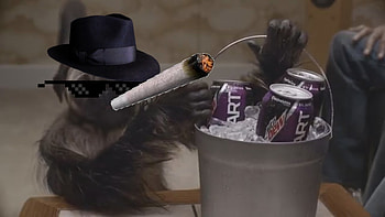 Puppy Monkey Baby Summoning Weed (Satire) HD wallpaper