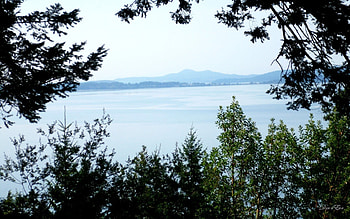 Friday Harbor, blue, island, washington, trees, , water, ocean HD wallpaper