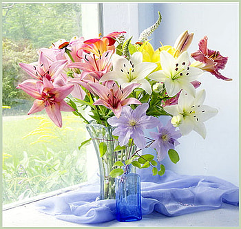 For a special lady, blue, sunshine, sunny, bouquet, color, window, vase, colors, spring, lily, still life, bright, dedication, flowers, lilies, lillies HD wallpaper