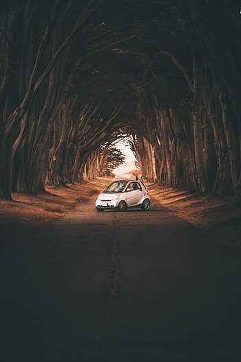 Trees, Cars, Road, Car, Smart Fortwo HD phone wallpaper