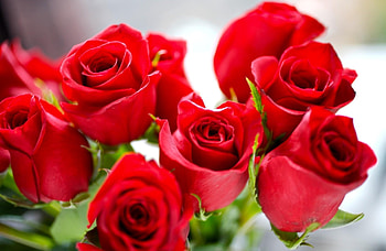Flowers, Roses, Bright, Bouquet, Buds HD wallpaper