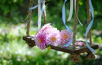 Summer memories, other, garden, swing, summer, pink, outdoors, abstract, nature, flowers, memories HD wallpaper