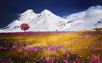 Autumn Fields Apls Mountains, autumn, fields, mountains, nature, flowers HD wallpaper