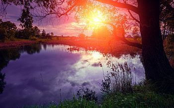 Colorful Sunset, reflection, clouds, trees, sky, sun, lake HD wallpaper