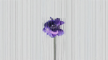 Purple Flowers Line Minimal, purple, flowers, minimalism, artist, artwork, art, digital-art HD wallpaper