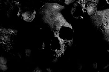Dark eerie skull with a moody atmosphere from the Paris Catacombs. HD wallpaper