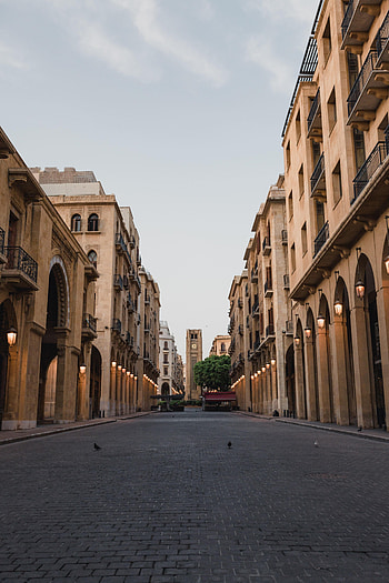 Cities, City, Building, Road, Street HD phone wallpaper