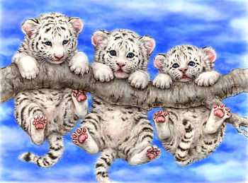 Cute white tiger cubs, blue, animal, white, tiger, art, cute, pink, fantasy, tigru, luminos, paw, trio HD wallpaper