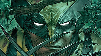 Wolverine HD wallpaper