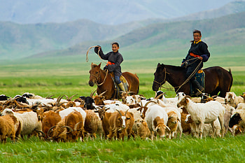 Mongolia, Migrant herders, Poverty challenges, Socioeconomic issues HD wallpaper