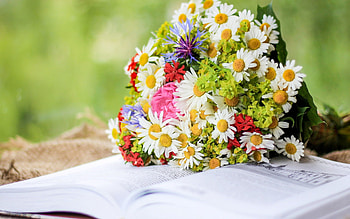 bouquet of wildflowers, bouquet with daisies, flowers on a book, a beautiful bouquet, daisies, wildflowers HD wallpaper