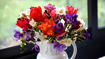 Spring flowers, purple, tulip, bouquet, sia, flower, red, vase, spring HD wallpaper