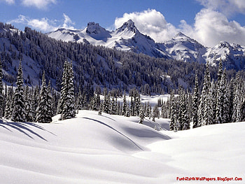 winter landscapes, landscape, winter HD wallpaper