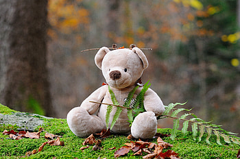 Grass, Teddy Bear, Miscellanea, Miscellaneous, Bear, Toy HD wallpaper