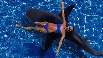 :-), blue, sea, model, girl, shark, summer, view from the top, swimsuit, sunglasses, water HD wallpaper