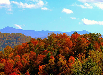 Autumn in NC mountains, Vibrant fall foliage, Nature's palette HD wallpaper