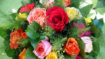 Beautiful flowers, pink, leaves, ornage, red HD wallpaper