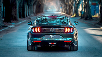 Mustang Bullitt, Ford HD wallpaper